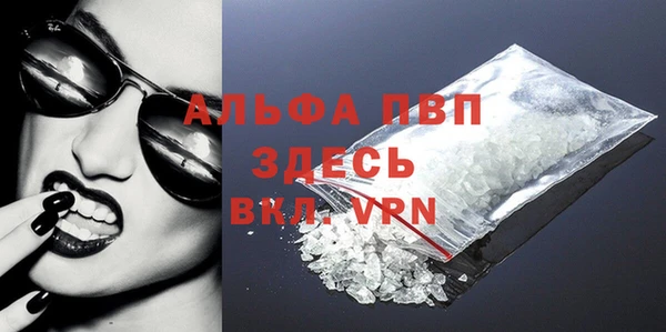 ешки Белокуриха