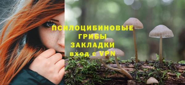 apvp Беломорск