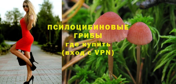 apvp Беломорск